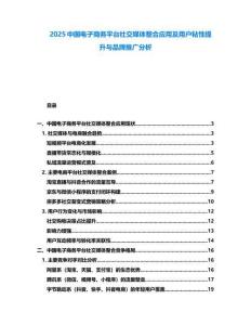 2025中国电子商务平台社交媒体整合应用及用户粘性提升与品牌推广分析