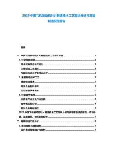 2025中國飛機(jī)發(fā)動機(jī)葉片制造技術(shù)工藝現(xiàn)狀分析與高端制造投資報告