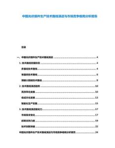 中國光伏組件生產(chǎn)技術(shù)路線演進與市場競爭格局分析報告