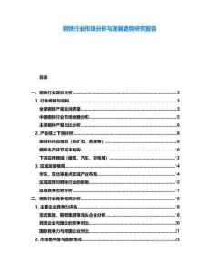 鋼鐵行業(yè)市場(chǎng)分析與發(fā)展趨勢(shì)研究報(bào)告