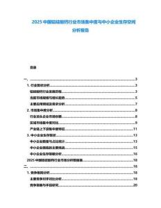 2025中國鋁硅酸鈣行業(yè)市場(chǎng)集中度與中小企業(yè)生存空間分析報(bào)告