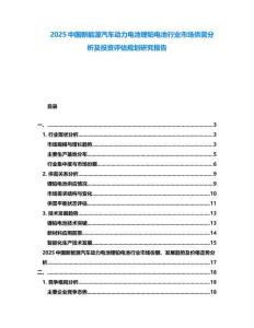 2025中國新能源汽車動(dòng)力電池鋰鉑電池行業(yè)市場供需分析及投資評估規(guī)劃研究報(bào)告