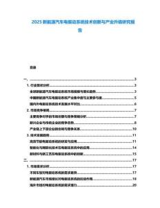 2025新能源汽車電驅(qū)動(dòng)系統(tǒng)技術(shù)創(chuàng)新與產(chǎn)業(yè)升級研究報(bào)告