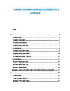 工業(yè)機(jī)器人制造行業(yè)市場(chǎng)素質(zhì)供需評(píng)估投資選擇實(shí)用規(guī)劃分析研究報(bào)告