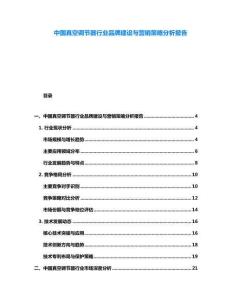 中國真空調節器行業品牌建設與營銷策略分析報告