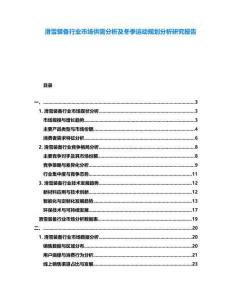 滑雪裝備行業(yè)市場供需分析及冬季運動規(guī)劃分析研究報告