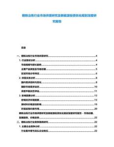 鋼鐵冶煉行業(yè)市場供需研究及新能源投資優(yōu)化規(guī)劃深度研究報告