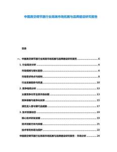 中國真空調節器行業高端市場拓展與品牌建設研究報告