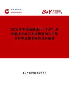 2026年中國玻璃通孔（TGV）封裝解決方案行業(yè)發(fā)展現(xiàn)狀與市場占有率及排名研究分析報告