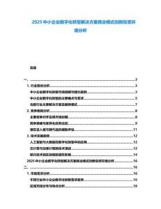 2025中小企業(yè)數(shù)字化轉(zhuǎn)型解決方案商業(yè)模式創(chuàng)新投資環(huán)境分析