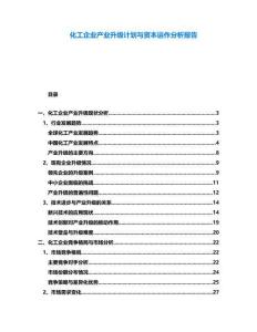 化工企業(yè)產(chǎn)業(yè)升級計劃與資本運作分析報告