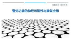 警覺功能的神經可塑性與康復應用