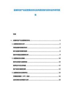 金融科技產(chǎn)業(yè)運(yùn)營模式優(yōu)化及風(fēng)險控制與資本運(yùn)作研究報告