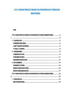 2025珠海半導(dǎo)體芯片制造行業(yè)市場(chǎng)供需分析計(jì)算安全發(fā)展研究報(bào)告