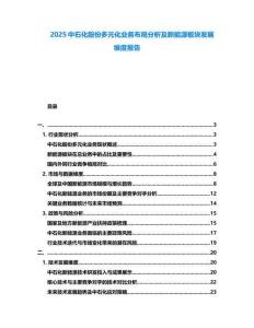 2025中石化股份多元化業(yè)務(wù)布局分析及新能源板塊發(fā)展維度報(bào)告