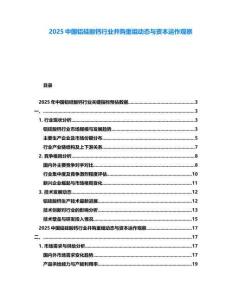 2025中國鋁硅酸鈣行業(yè)并購重組動態(tài)與資本運(yùn)作觀察