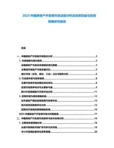 2025中國(guó)房地產(chǎn)開(kāi)發(fā)商市場(chǎng)深度分析及投資效益與投資策略研究報(bào)告