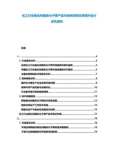 化工行業(yè)催化劑載體分子篩產(chǎn)品市場供需轉(zhuǎn)化率提升設(shè)計(jì)研究資料