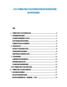 2025中國電子表計行業(yè)市場現狀供需分析及投資評估規(guī)劃分析研究報告