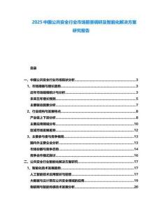2025中國(guó)公共安全行業(yè)市場(chǎng)前景調(diào)研及智能化解決方案研究報(bào)告