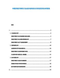 中國浮船升降機(jī)行業(yè)成本結(jié)構(gòu)優(yōu)化與利潤空間分析報告