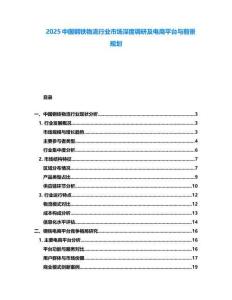 2025中國鋼鐵物流行業(yè)市場深度調(diào)研及電商平臺與前景規(guī)劃