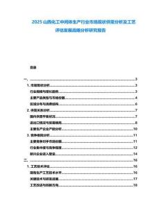 2025山西化工中間體生產(chǎn)行業(yè)市場現(xiàn)狀供需分析及工藝評估發(fā)展戰(zhàn)略分析研究報(bào)告