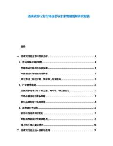 酒店賓館行業(yè)市場現(xiàn)狀與未來發(fā)展規(guī)劃研究報告