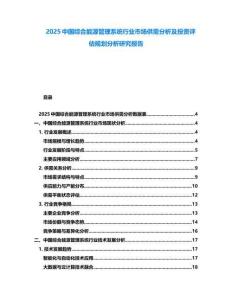 2025中國(guó)綜合能源管理系統(tǒng)行業(yè)市場(chǎng)供需分析及投資評(píng)估規(guī)劃分析研究報(bào)告
