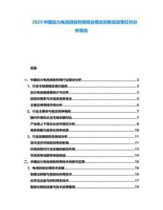 2025中國動力電池回收利用商業(yè)模式創(chuàng)新及政策紅利分析報告