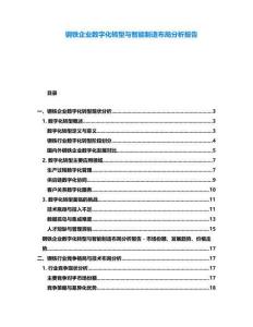 鋼鐵企業(yè)數(shù)字化轉(zhuǎn)型與智能制造布局分析報(bào)告