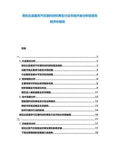 哥倫比亞廢棄汽車塑料材料再生行業(yè)市場(chǎng)開發(fā)分析投資風(fēng)險(xiǎn)評(píng)價(jià)報(bào)告