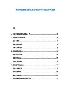 創(chuàng)業(yè)孵化器運(yùn)營(yíng)模式創(chuàng)新與生態(tài)體系建設(shè)分析報(bào)告