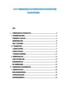 2025中國電影放映行業(yè)市場現(xiàn)狀供需分析及投資評估規(guī)劃分析研究報告