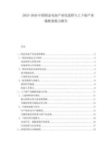 2025-2030中國固態電池產業化進程與上下游產業鏈配套能力報告