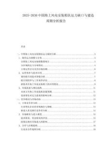 2025-2030中國海上風(fēng)電安裝船隊(duì)運(yùn)力缺口與建造周期分析報告