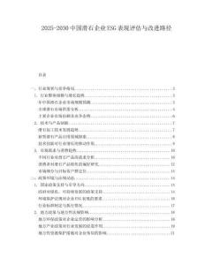 2025-2030中國滑石企業(yè)ESG表現(xiàn)評估與改進路徑