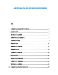大型港口物流行業(yè)運(yùn)作效率供需分析投資布局規(guī)劃