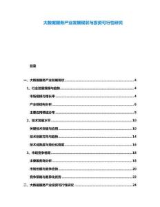 大數(shù)據(jù)服務(wù)產(chǎn)業(yè)發(fā)展現(xiàn)狀與投資可行性研究