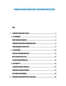 中國電解水制氫設(shè)備降本路徑與政策激勵效果研究報告