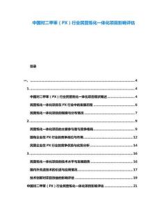 中國對二甲苯（PX）行業(yè)民營煉化一體化項(xiàng)目影響評估