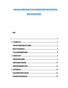 大型水體治理環(huán)保技術(shù)行業(yè)市場現(xiàn)狀供需分析及投資評估規(guī)劃分析研究報告