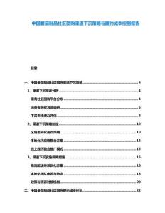 中國番茄制品社區(qū)團購渠道下沉策略與履約成本控制報告
