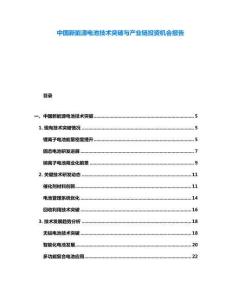 中國(guó)新能源電池技術(shù)突破與產(chǎn)業(yè)鏈投資機(jī)會(huì)報(bào)告