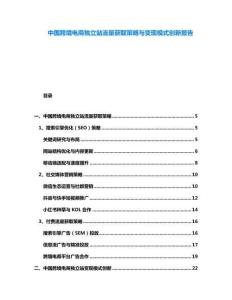中國跨境電商獨立站流量獲取策略與變現(xiàn)模式創(chuàng)新報告