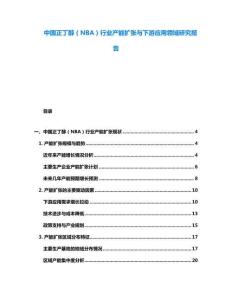 中國正丁醇（NBA）行業(yè)產(chǎn)能擴張與下游應用領域研究報告