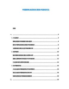 中國鋰電池回收處理技術(shù)路線對比