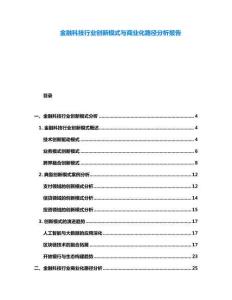 金融科技行業(yè)創(chuàng)新模式與商業(yè)化路徑分析報告