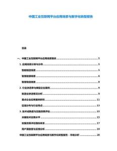 中國(guó)工業(yè)互聯(lián)網(wǎng)平臺(tái)應(yīng)用場(chǎng)景與數(shù)字化轉(zhuǎn)型報(bào)告