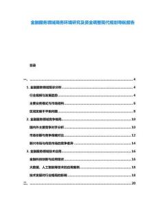 金融服務(wù)領(lǐng)域商務(wù)環(huán)境研究及資金調(diào)整現(xiàn)代規(guī)劃導(dǎo)航報(bào)告